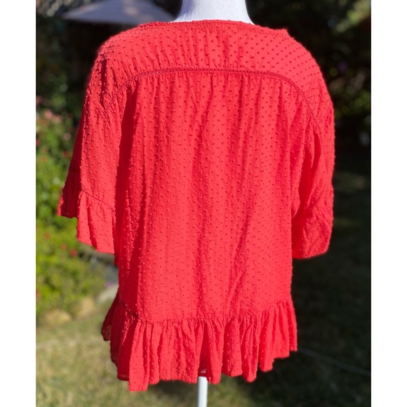 Short Sleeve Crochet Swiss Dot Blouse with Ruffle Hem - Picture 5 of 5